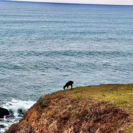 Inn Of The Lost Coast Shelter Cove 외부 사진