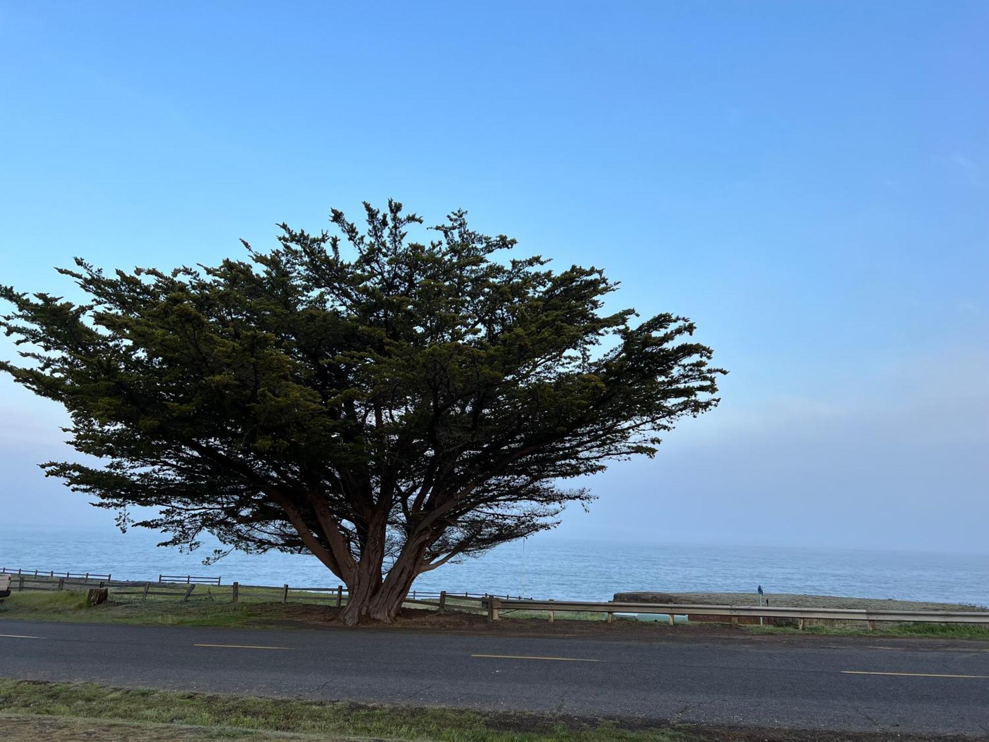 Inn Of The Lost Coast Shelter Cove 외부 사진